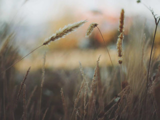 Geanta Louis Vuitton Neverfull MM autentica